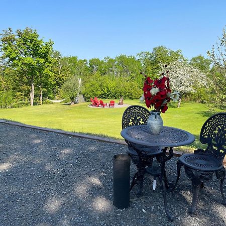 Petite Plaisance Appartements La Malbaie Eksteriør billede