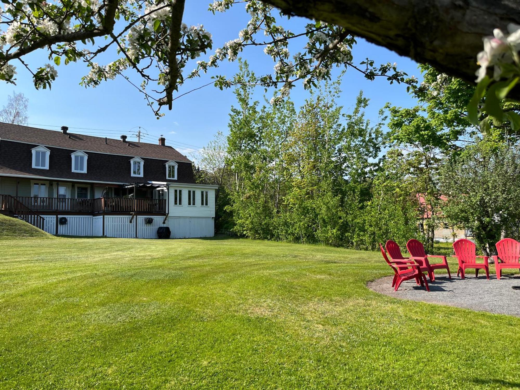 Petite Plaisance Appartements La Malbaie Eksteriør billede